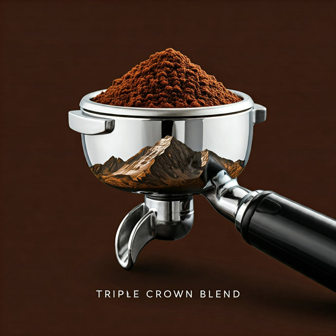 Premium Trade Coffee Beans from Square Feet Coffee